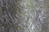 Stromeferry fibreglass roof work